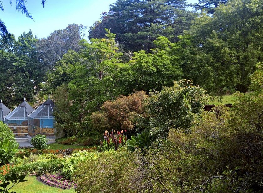 Botanical gardens, New Zealand